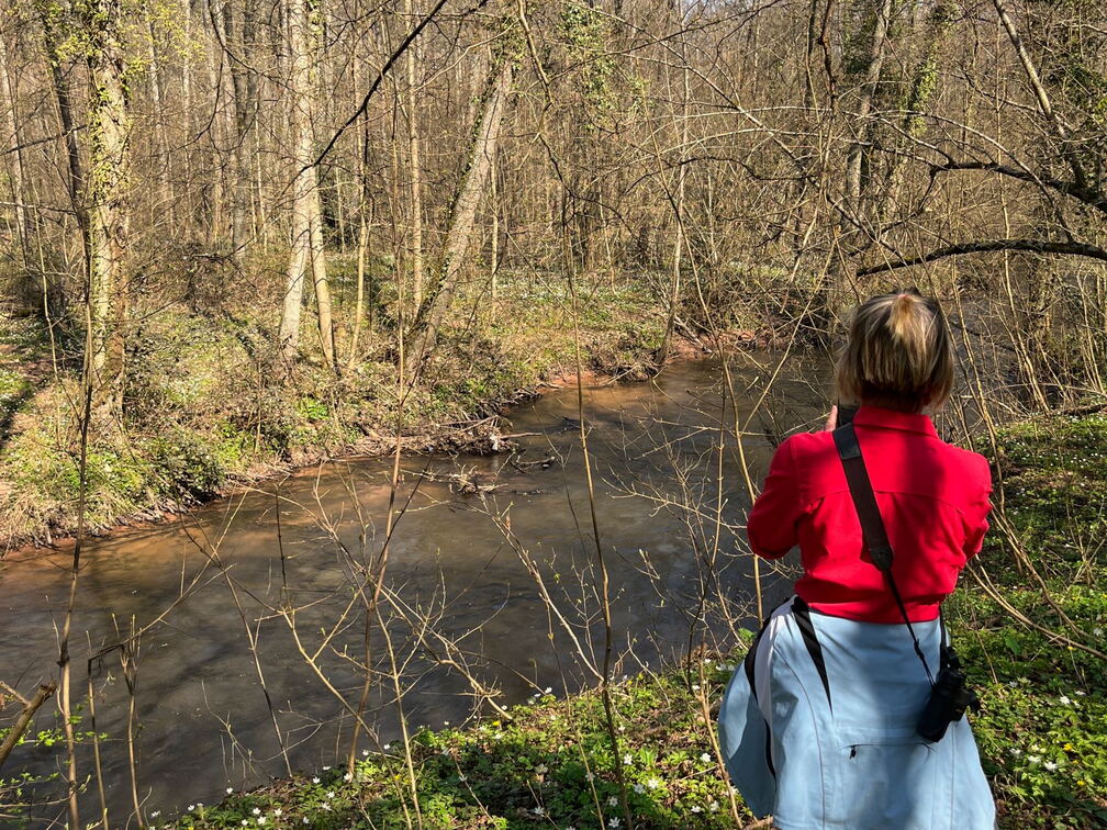 C0A4AC31-E6F0-441B-AA84-2D7A1196117B-22244-00000508A688EE30